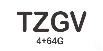 TZGV 4+64 Android 13 Introduction