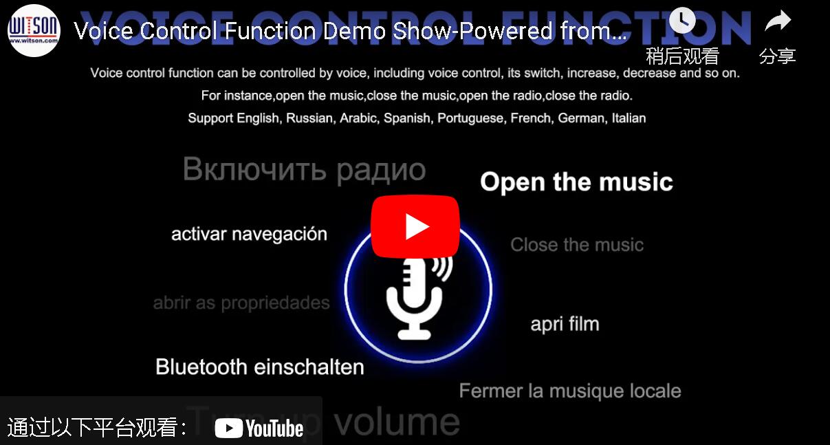 Voice Control Function for Tesla Vertical Multimedia Player (TZG/TZ)