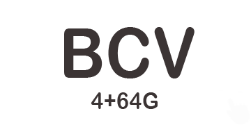 BCV 4+64 Android 13 Introduction