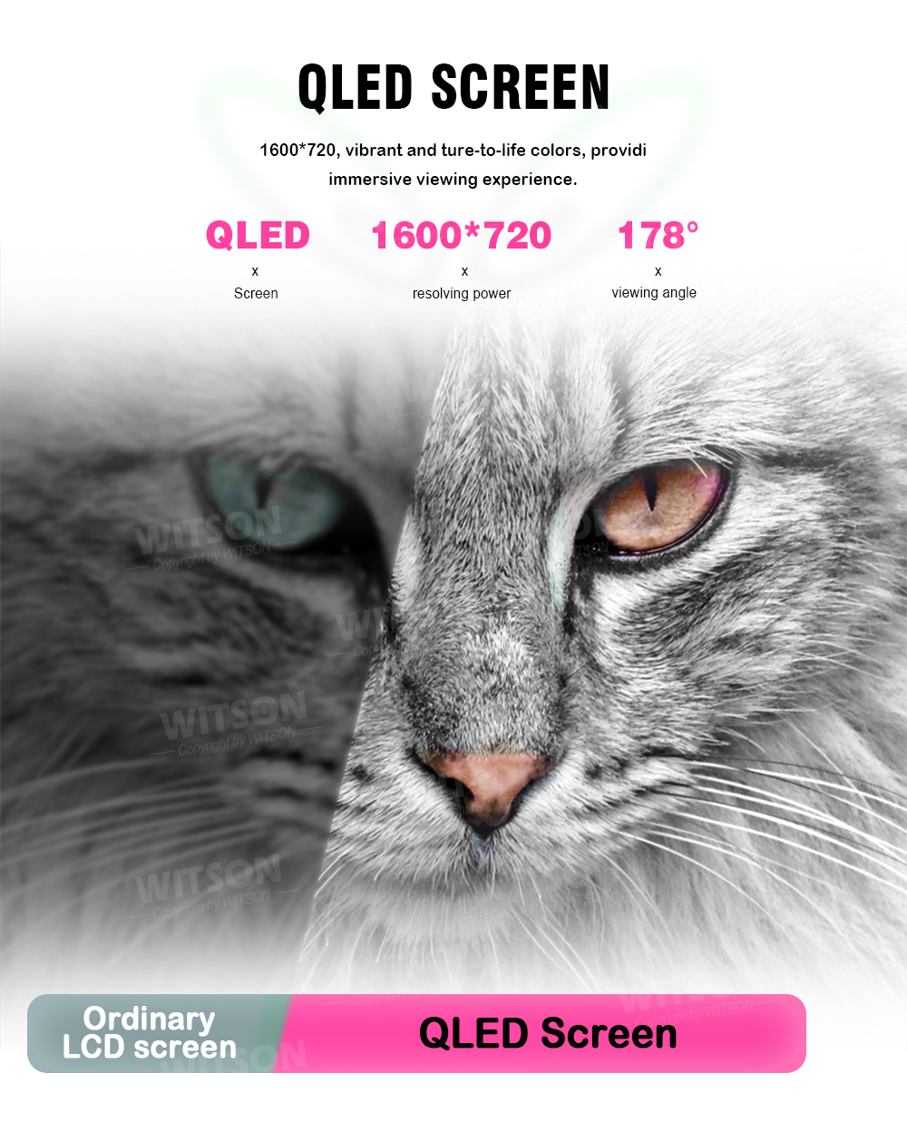 1748398413250062.jpg WTBR_07.jpg