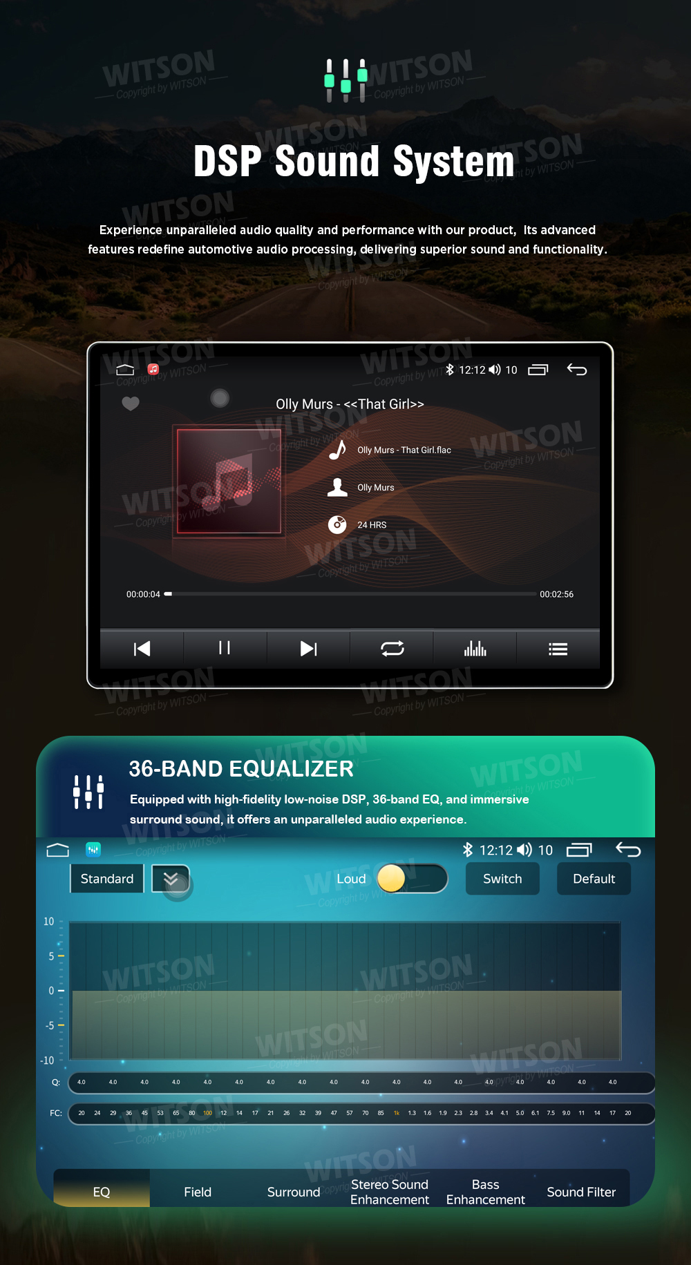 1758791658212252.jpg wlv_08.jpg